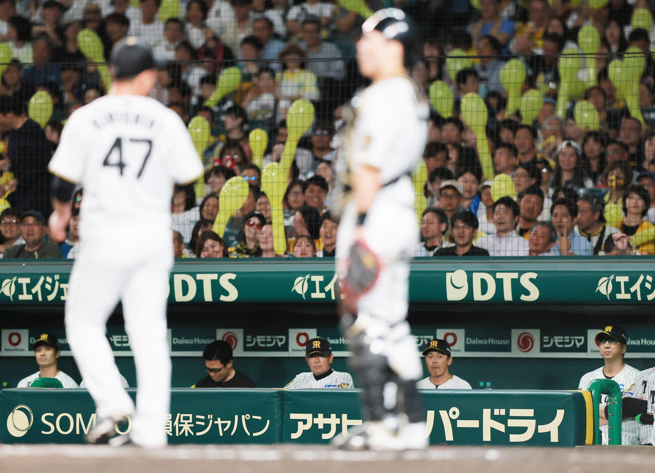 セ・パ交流戦　阪神対日本ハム1回戦　阪神対日本ハム　7回表日本ハム2死満塁、桐敷拓馬の暴投で失点しグラウンドを見つめる藤川球児監督（右）（撮影・上山淳一）