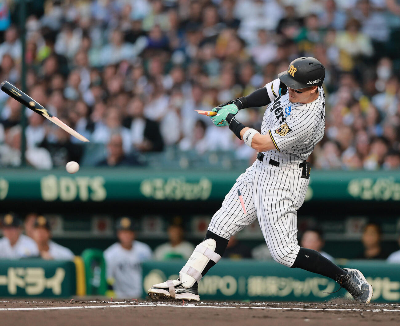 セ・パ交流戦　阪神対日本ハム1回戦　阪神対日本ハム　2回裏阪神無死、バットが折れる佐藤輝明（撮影・上山淳一）＝2026年5月26日