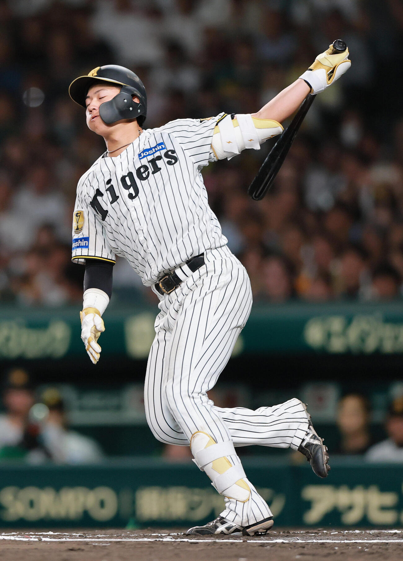 セ・パ交流戦　阪神対日本ハム1回戦　阪神対日本ハム　6回裏阪神1死、立石正広は空振り三振に倒れる（撮影・上山淳一）
