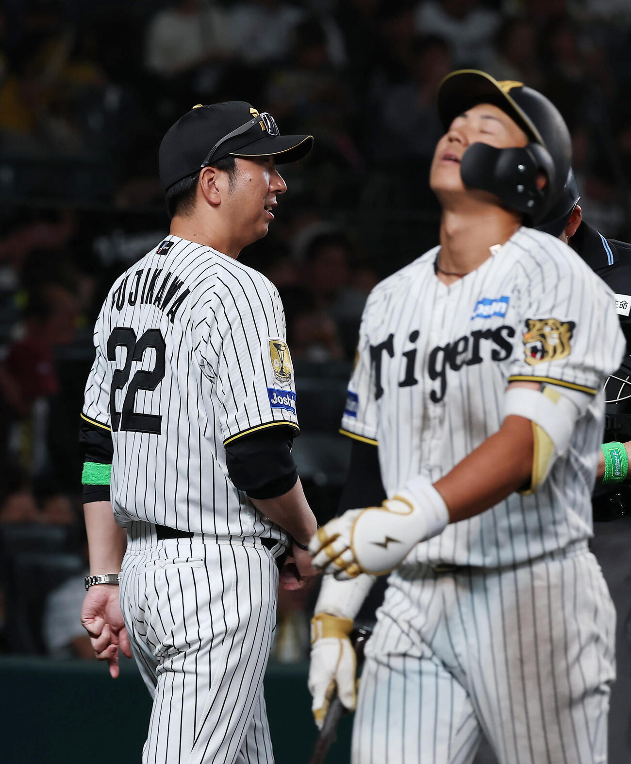 阪神対日本ハム　8回裏を終え、選手交代を告げる阪神藤川球児監督。右は見逃し三振に倒れた立石正広（撮影・前田充）