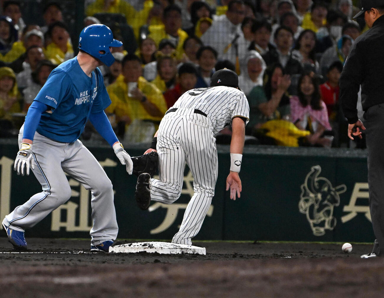セ・パ交流戦・阪神対日本ハム2回戦　阪神対日本ハム　5回表日本ハム2死一、三塁　捕手坂本誠志郎の送球を後ろにそらす阪神立石正広（中央）（撮影・石井愛子）＝2026年5月27日