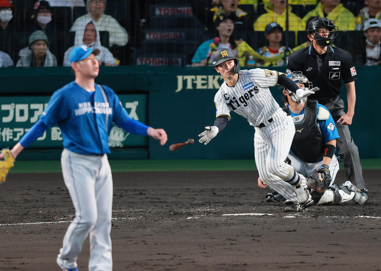 セ・パ交流戦　阪神対日本ハム2回戦　阪神対日本ハム　4回裏阪神2死、二塁打を放つ坂本誠志郎（撮影・上山淳一）