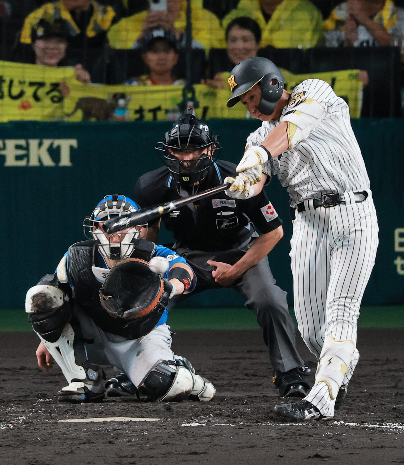 セ・パ交流戦　阪神対日本ハム2回戦　阪神対日本ハム　5回裏阪神無死、立石正広は三敵失で出塁する（撮影・上山淳一）＝2026年5月27日