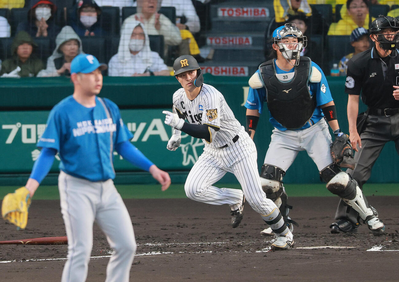 セ・パ交流戦　阪神対日本ハム2回戦　阪神対日本ハム　2回裏阪神2死二塁、坂本誠志郎は適時打を放つ。投手加藤貴之（撮影・上山淳一）
