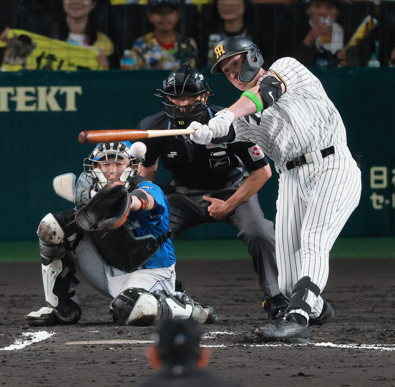 セ・パ交流戦　阪神対日本ハム2回戦　阪神対日本ハム　6回裏阪神2死一塁、代打キャム・ディベイニーは安打を放つ（撮影・上山淳一）