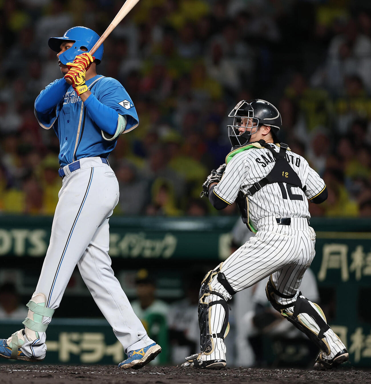 阪神対日本ハム　5回表日本ハム2死一、三塁、三塁へ送球する坂本誠志郎。打者エドポロ・ケイン（撮影・前田充）＝2026年5月27日
