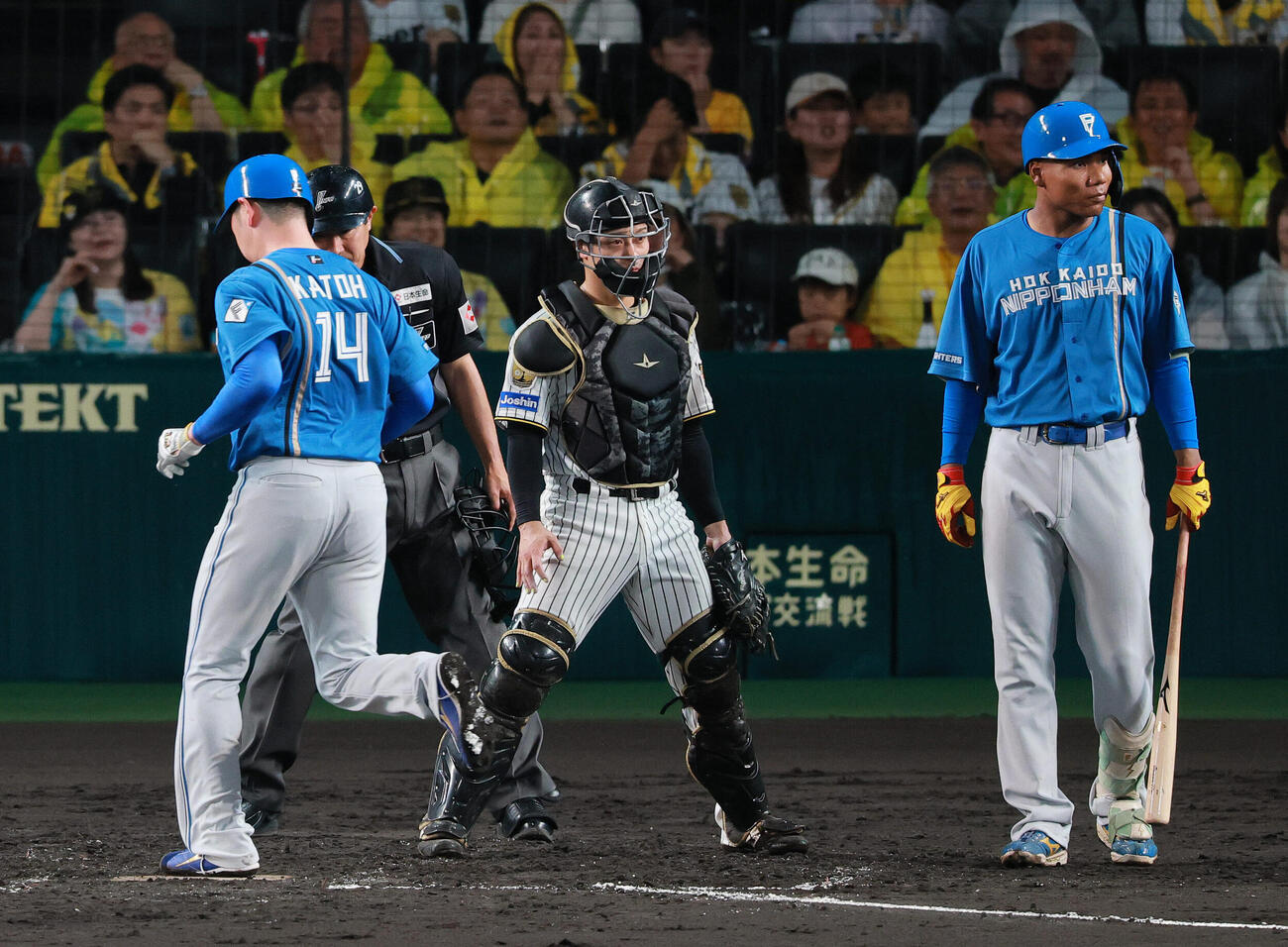 セ・パ交流戦　阪神対日本ハム2回戦　阪神対日本ハム　5回表日本ハム2死一、三塁、打者エドポロ・ケイン（右）の時、坂本誠志郎（中央）の悪送球で三走加藤貴之が生還する（撮影・上山淳一）＝2026年5月27日