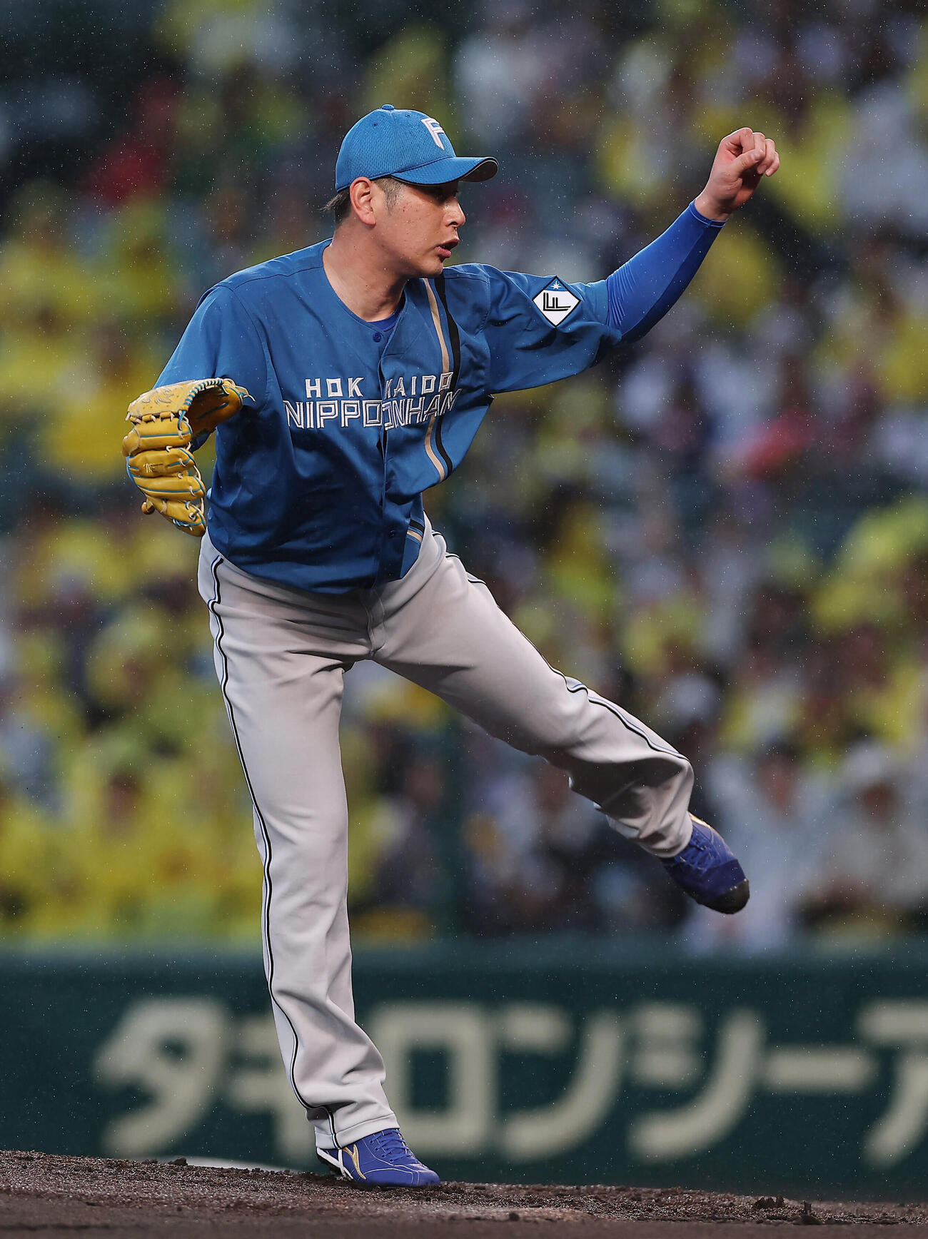 阪神対日本ハム　力投する日本ハム先発の加藤貴之（撮影・前田充）