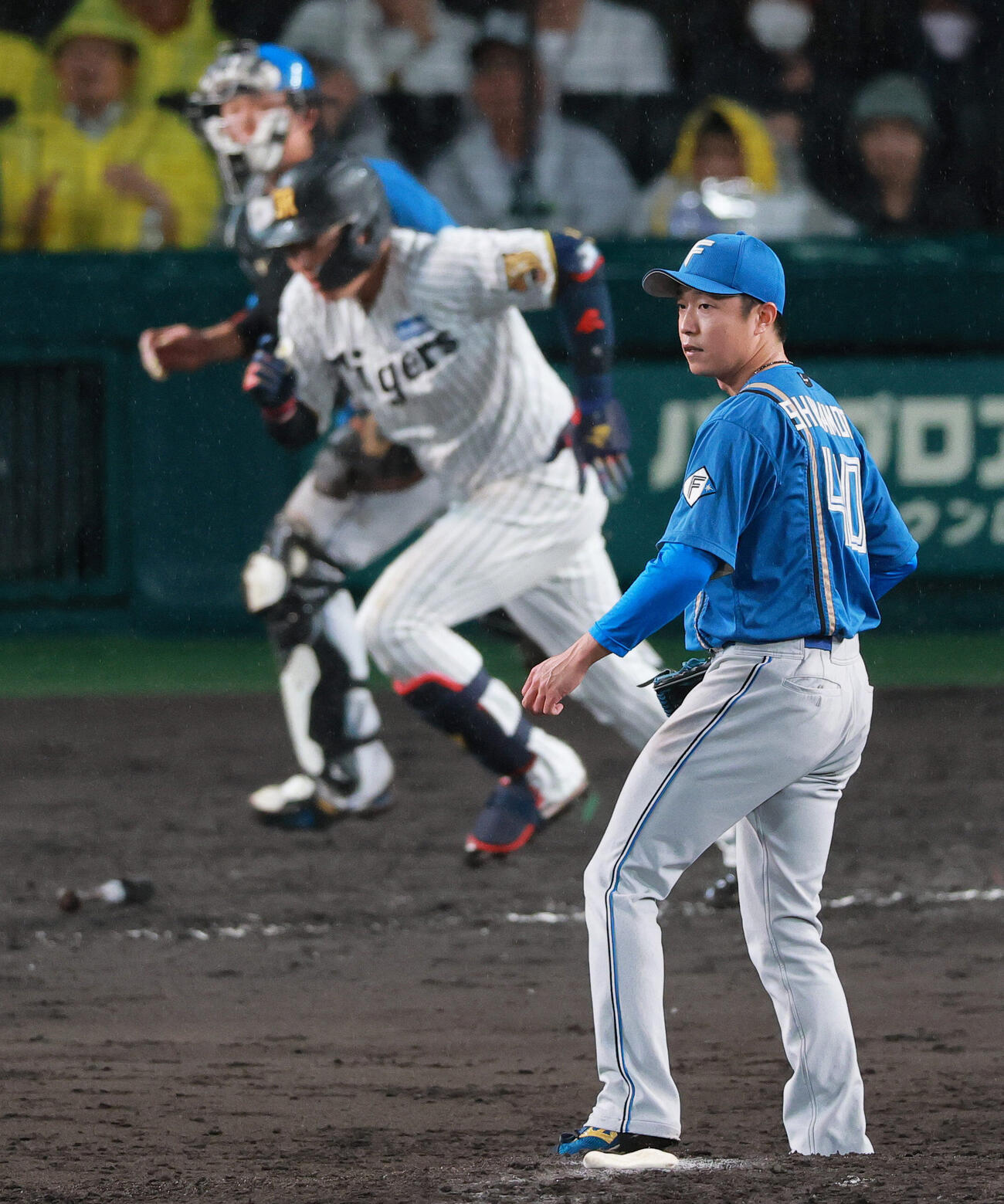 セ・パ交流戦　阪神対日本ハム2回戦　阪神対日本ハム　7回裏阪神2死一塁、島本浩也（手前）は大山悠輔を二ゴロに仕留める（撮影・上山淳一）＝2026年5月27日