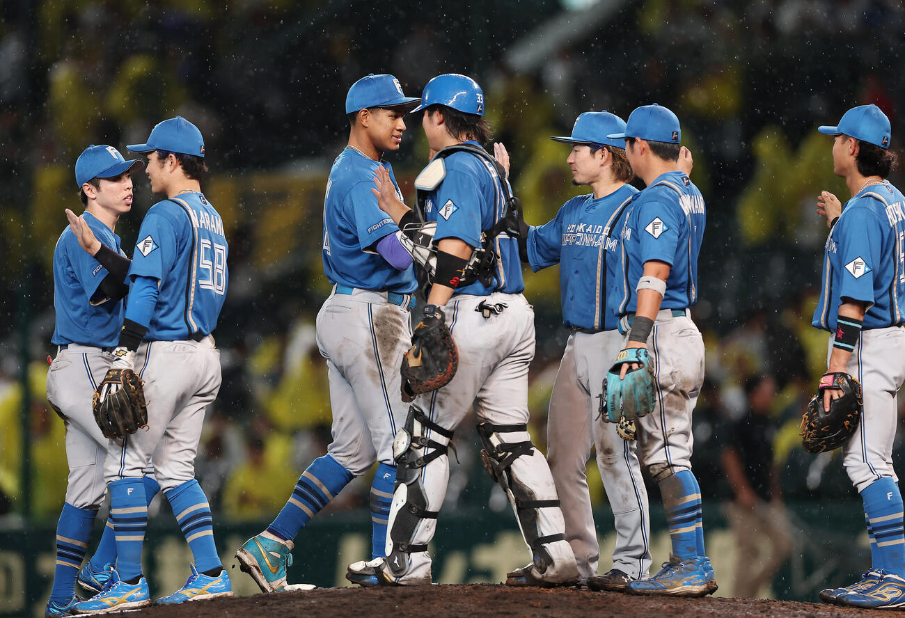 阪神対日本ハム　阪神に勝利しタッチを交わす日本ハムの選手たち（撮影・前田充）