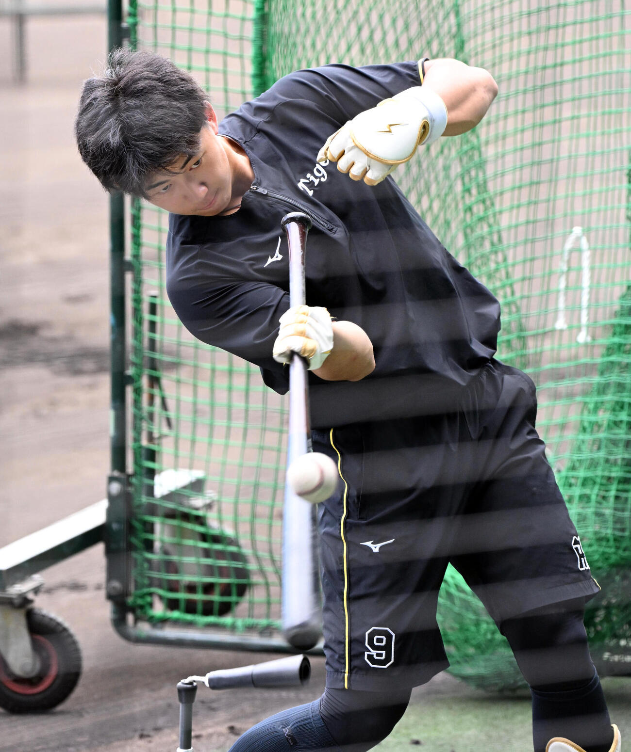 阪神対日本ハム　バッティング練習をする阪神立石正広（撮影・石井愛子）＝2026年5月27日