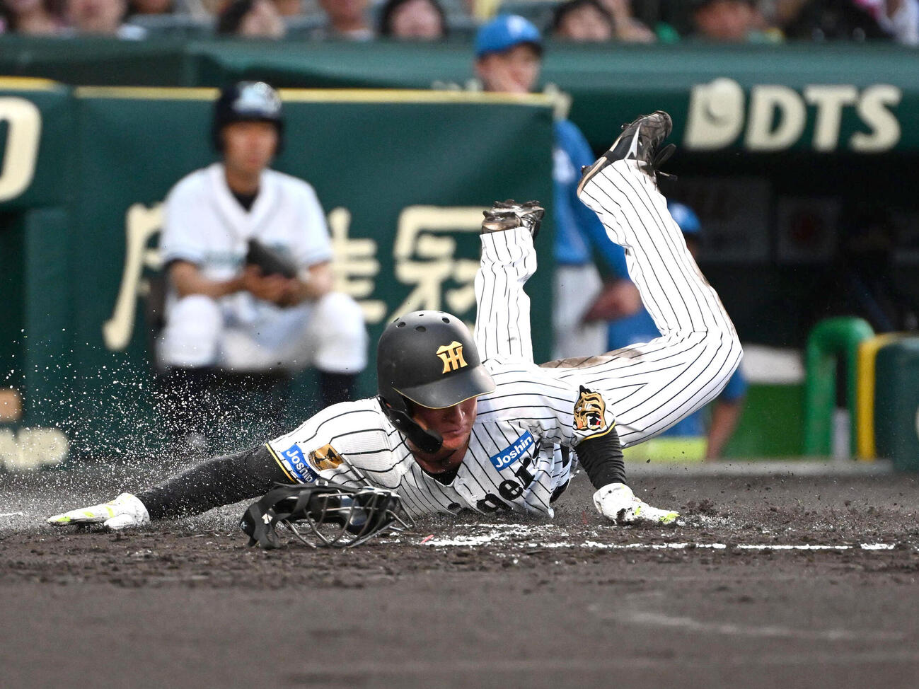 阪神対日本ハム　1回裏阪神2死一、二塁　大山悠輔の適時打で生還する高寺望夢（撮影・石井愛子）