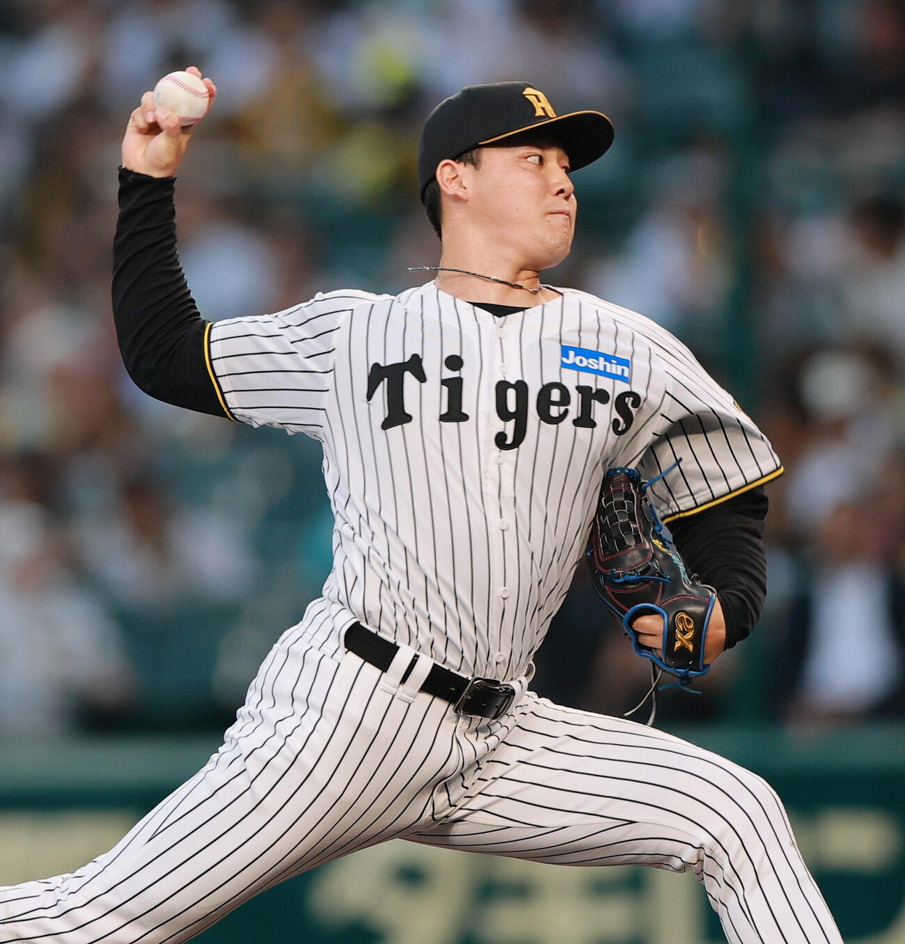 阪神対日本ハム　阪神先発木下里都（撮影・上山淳一）