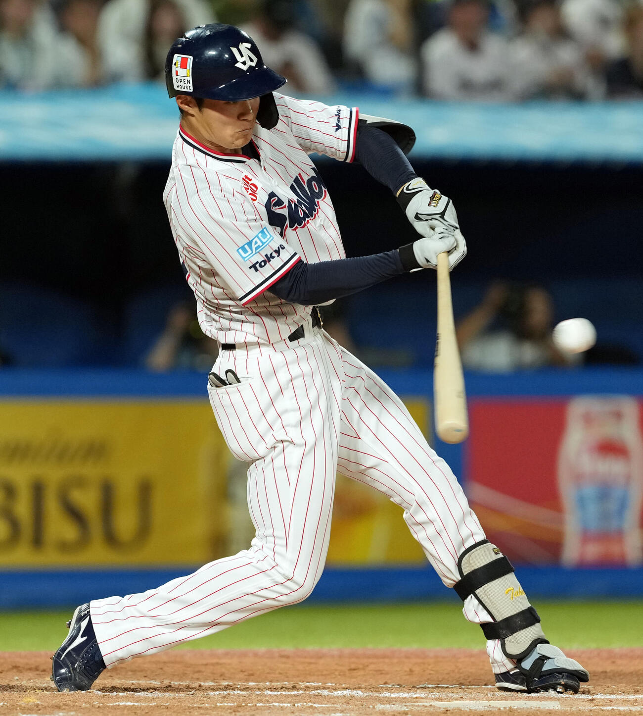 ヤクルト対西武　7回裏ヤクルト2死、右前打を放つ石井巧（撮影・たえ見朱実）