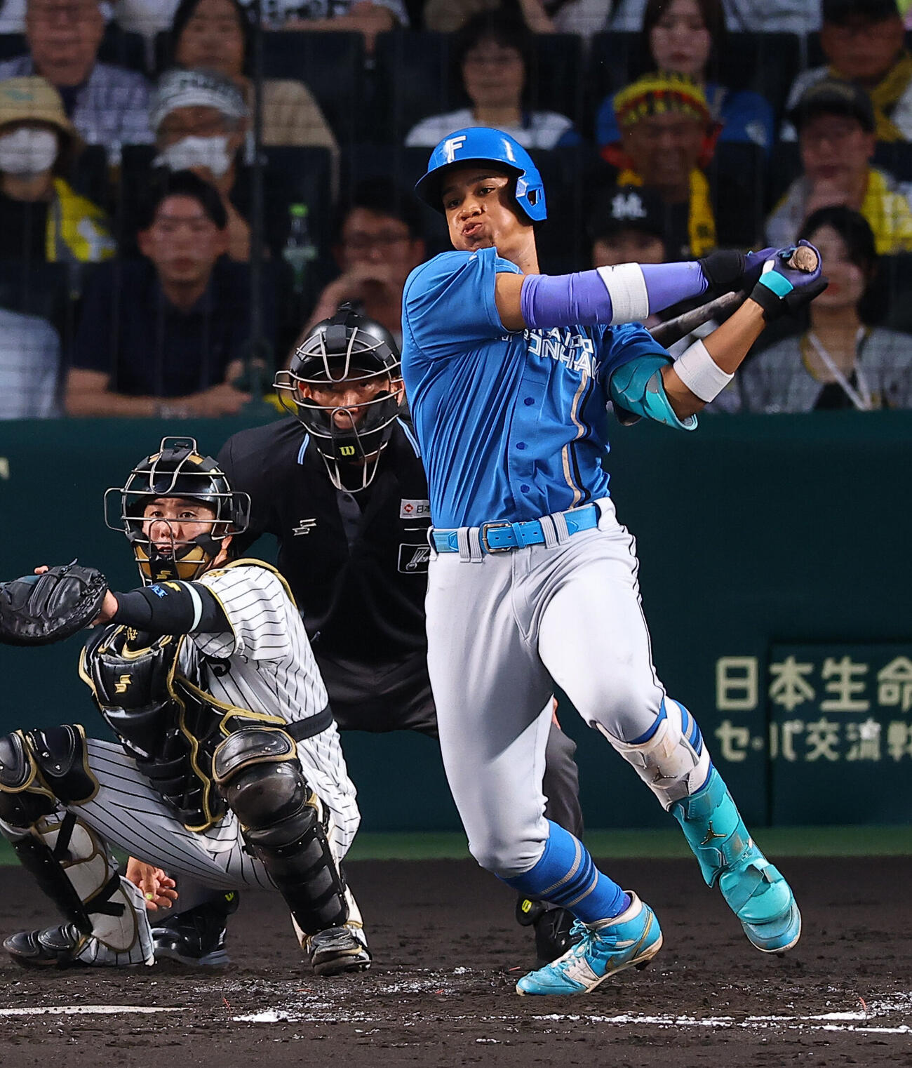 阪神対日本ハム　3回表日本ハム2死一、二塁、万波中正は適時打を放つ（撮影・上田博志）