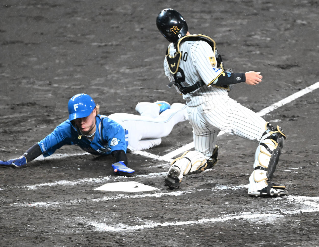阪神対日本ハム　9回表日本ハム1死一、三塁、細川の一塁前スクイズで生還する代走矢沢宏太（撮影・和賀正仁）