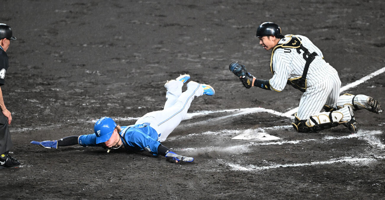 阪神対日本ハム　9回表日本ハム1死一、三塁、細川の一塁前スクイズで生還する代走矢沢宏太（撮影・和賀正仁）