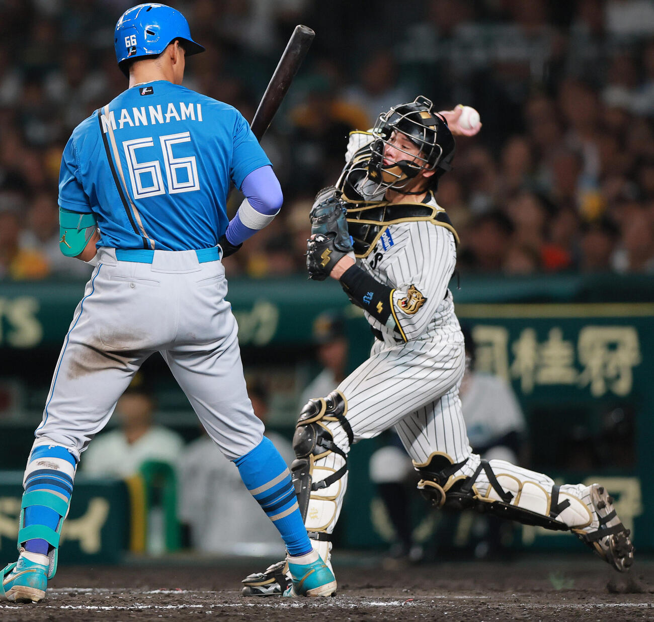 阪神対日本ハム　8回表日本ハム1死一塁、打者万波中正の時、一走五十幡亮汰の盗塁を刺す捕手梅野隆太郎（撮影・上山淳一）