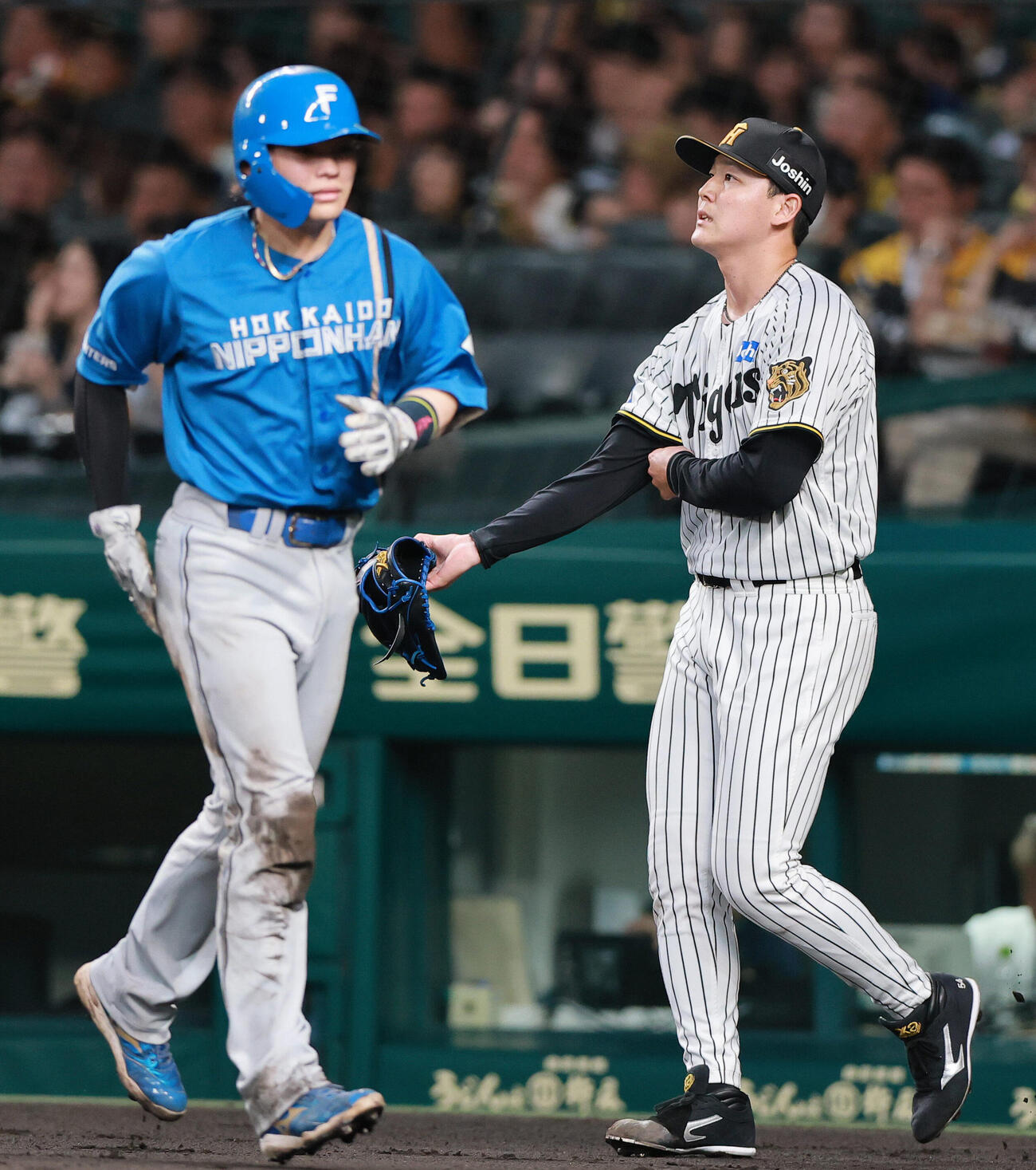 阪神対日本ハム　3回表日本ハム2死一、二塁、万波中正に適時打を浴びる木下里都（右）（撮影・上山淳一）