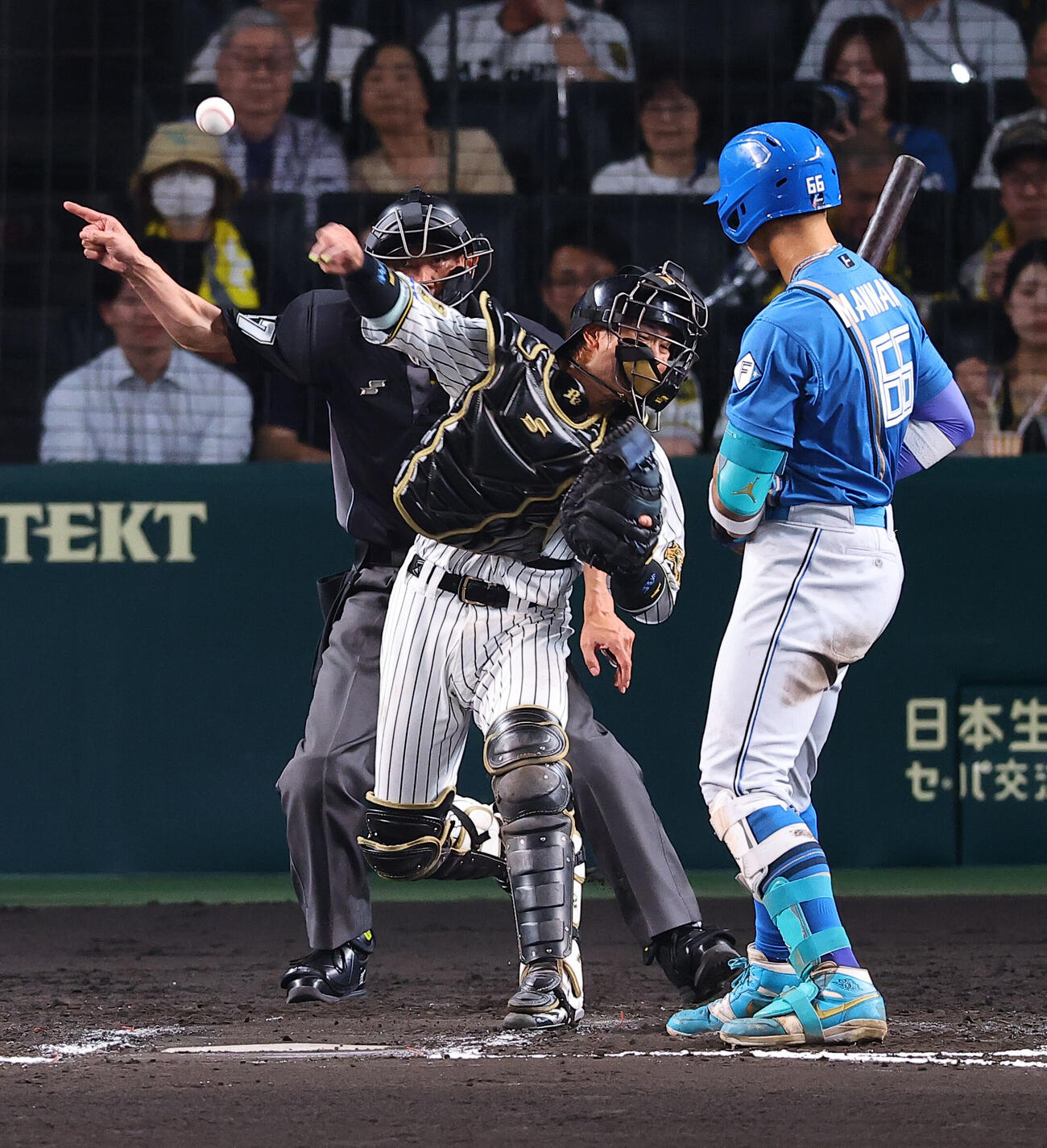 阪神対日本ハム　8回表日本ハム1死一塁、梅野隆太郎は五十幡亮汰の二盗を阻止する（撮影・上田博志）＝2026年5月28日
