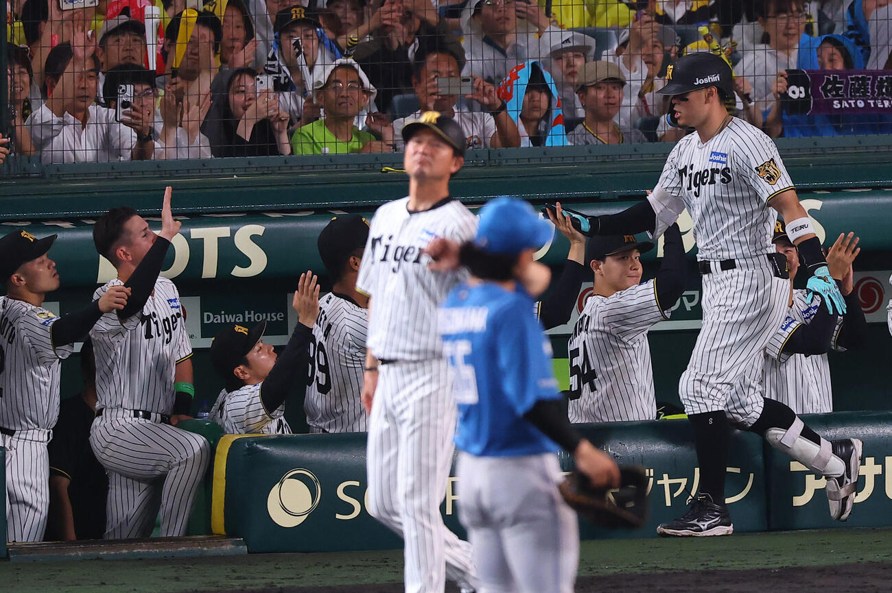 阪神対日本ハム　9回裏阪神1死、ソロ本塁打を放った佐藤輝明（右）はナインとハイタッチをする（撮影・上田博志）