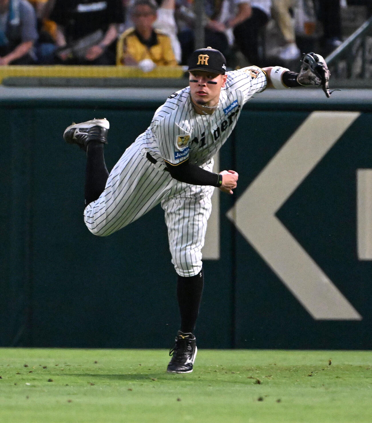 阪神対日本ハム　3回表日本ハム1死一、二塁　フランミル・レイエスの打球を送球する阪神佐藤輝明（撮影・石井愛子）