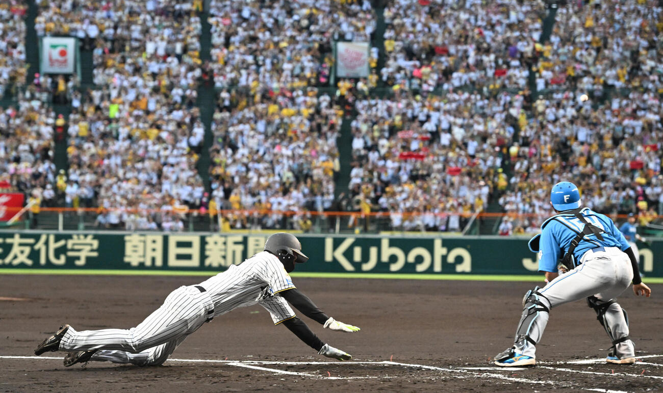 阪神対日本ハム　1回裏阪神2死一、二塁、大山の右前適時打で生還する髙寺望夢（撮影・和賀正仁）