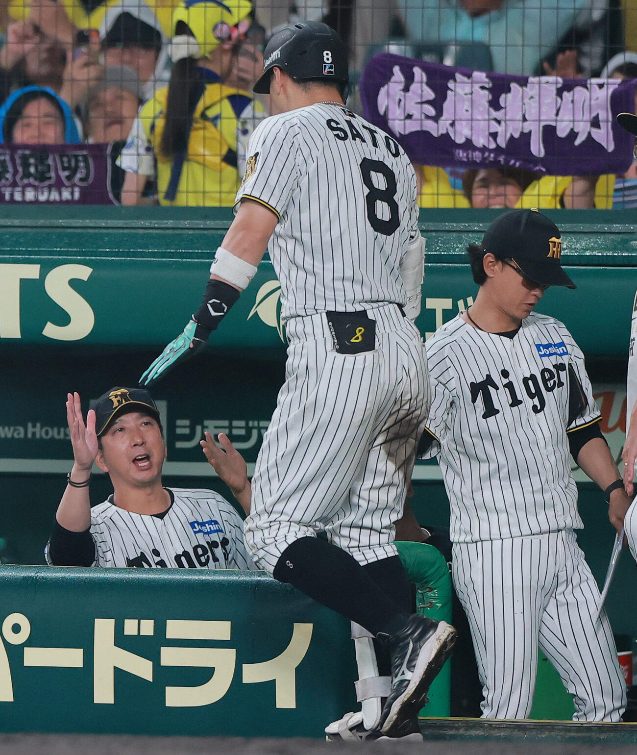 阪神対日本ハム　9回裏阪神1死、ソロ本塁打を放った佐藤輝明（手前）を出迎える藤川球児監督（撮影・上山淳一）