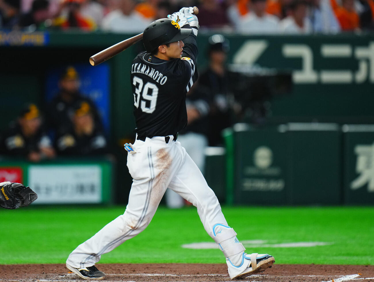 交流戦　巨人対ソフトバンク　7回表ソフトバンク2死一塁、2点本塁打を放つ山本祐大（撮影・垰建太）