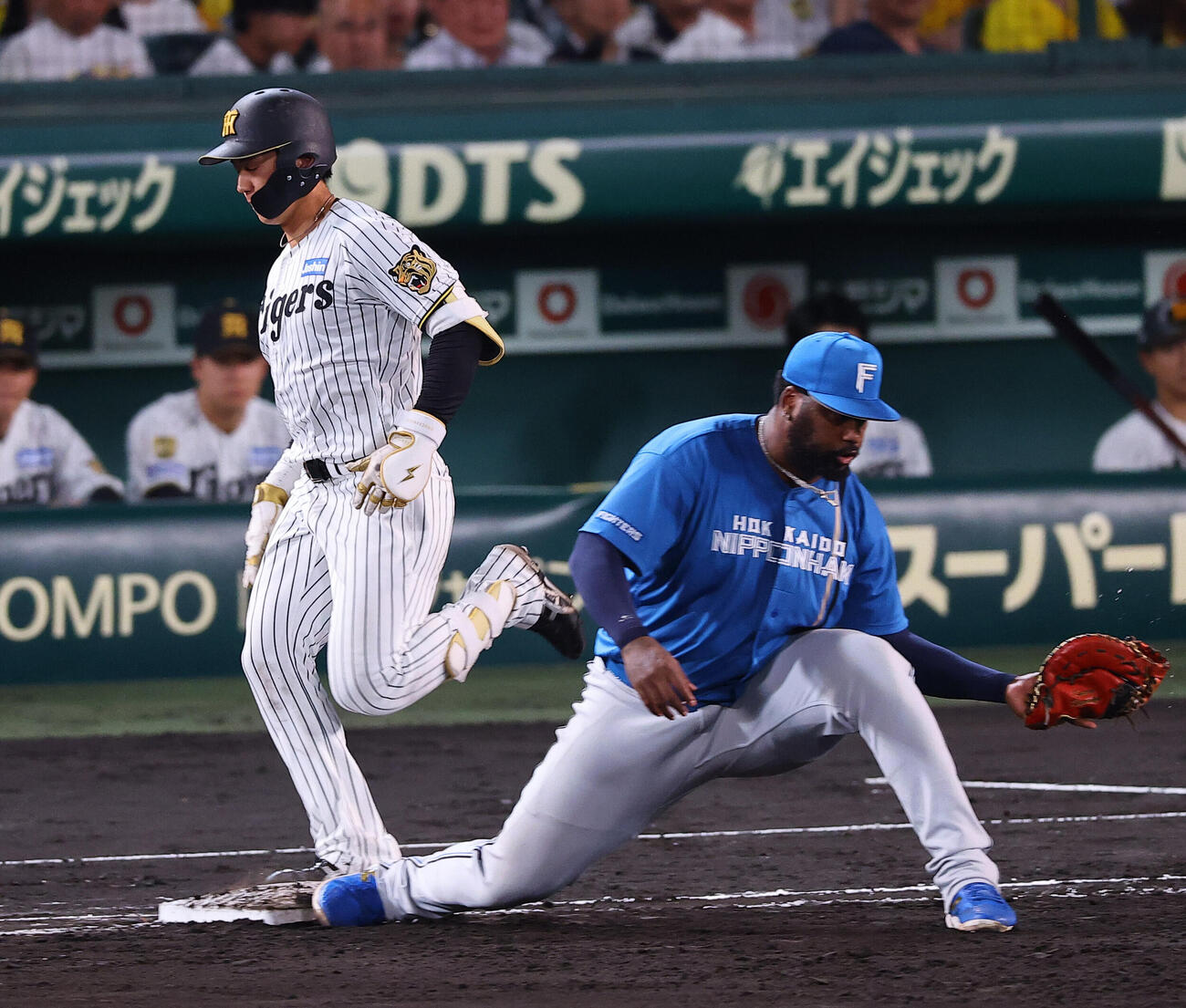 阪神対日本ハム　4回裏阪神1死一塁、立石正広は併殺打に倒れる（撮影・上田博志）