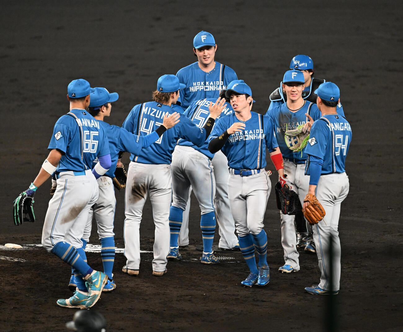 阪神対日本ハム　阪神に3連勝しタッチする日本ハムの選手ら（撮影・和賀正仁）