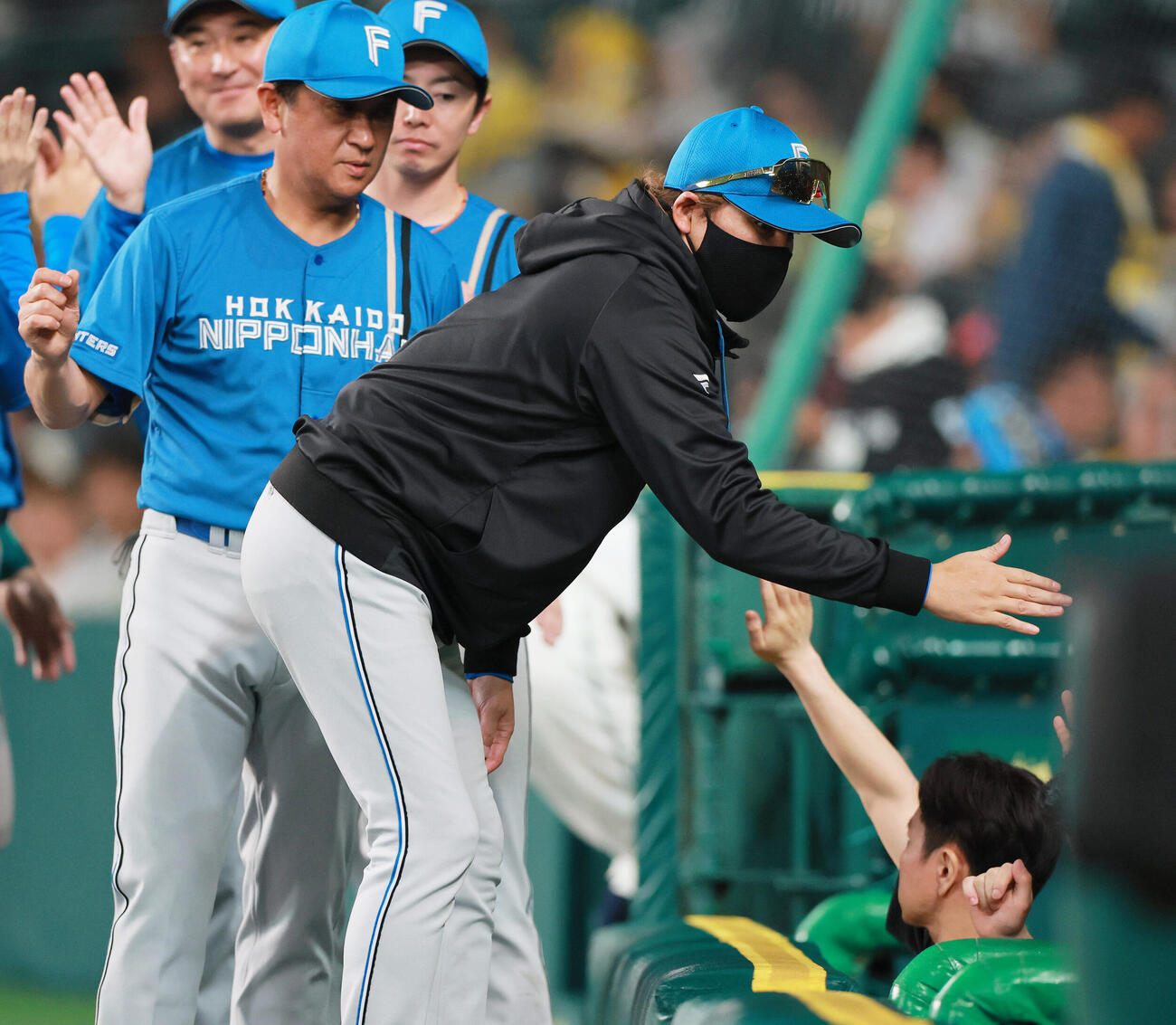 阪神対日本ハム　阪神に3連勝しタッチをかわす日本ハム新庄剛志監督（撮影・上山淳一）＝2026年5月28日