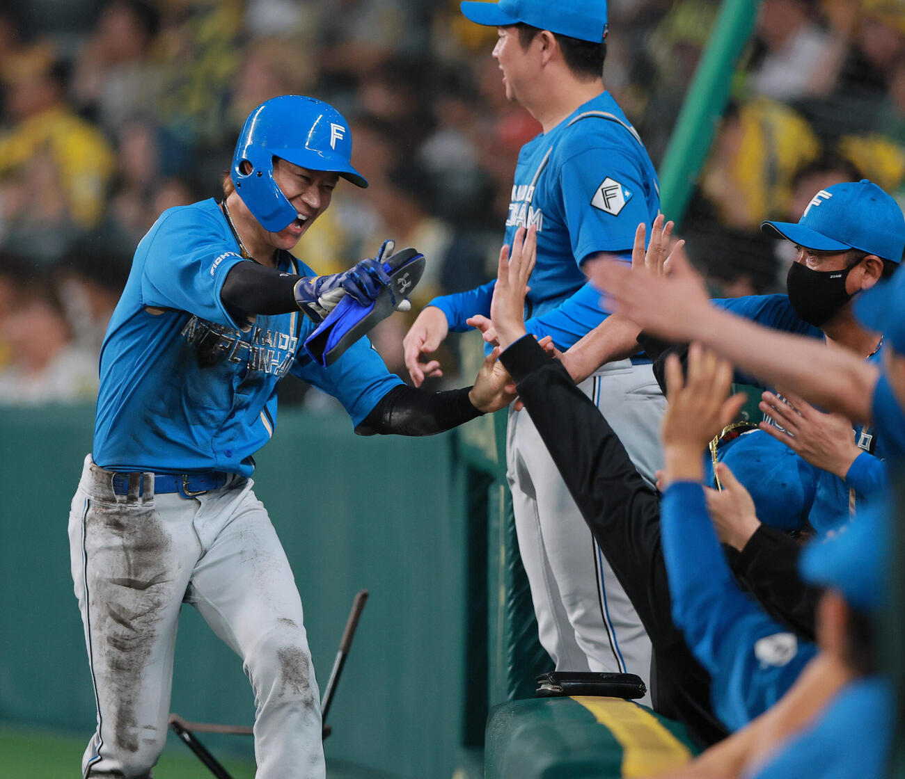 阪神対日本ハム　9回表日本ハム.1死一、三塁、細川凌平のスクイズで生還し祝福を受ける三塁代走矢沢宏太（左）（撮影・上山淳一）＝2026年5月28日.