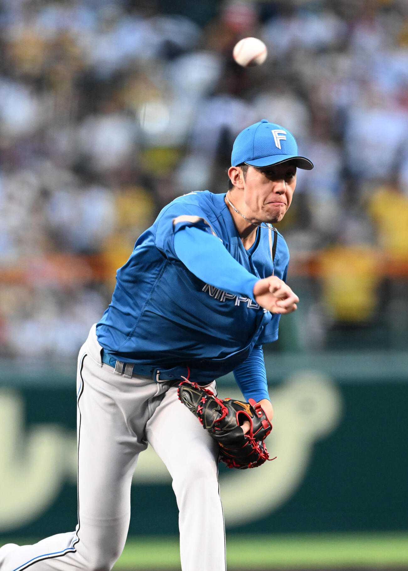 阪神対日本ハム　力投する日本ハム先発の福島蓮（撮影・和賀正仁）