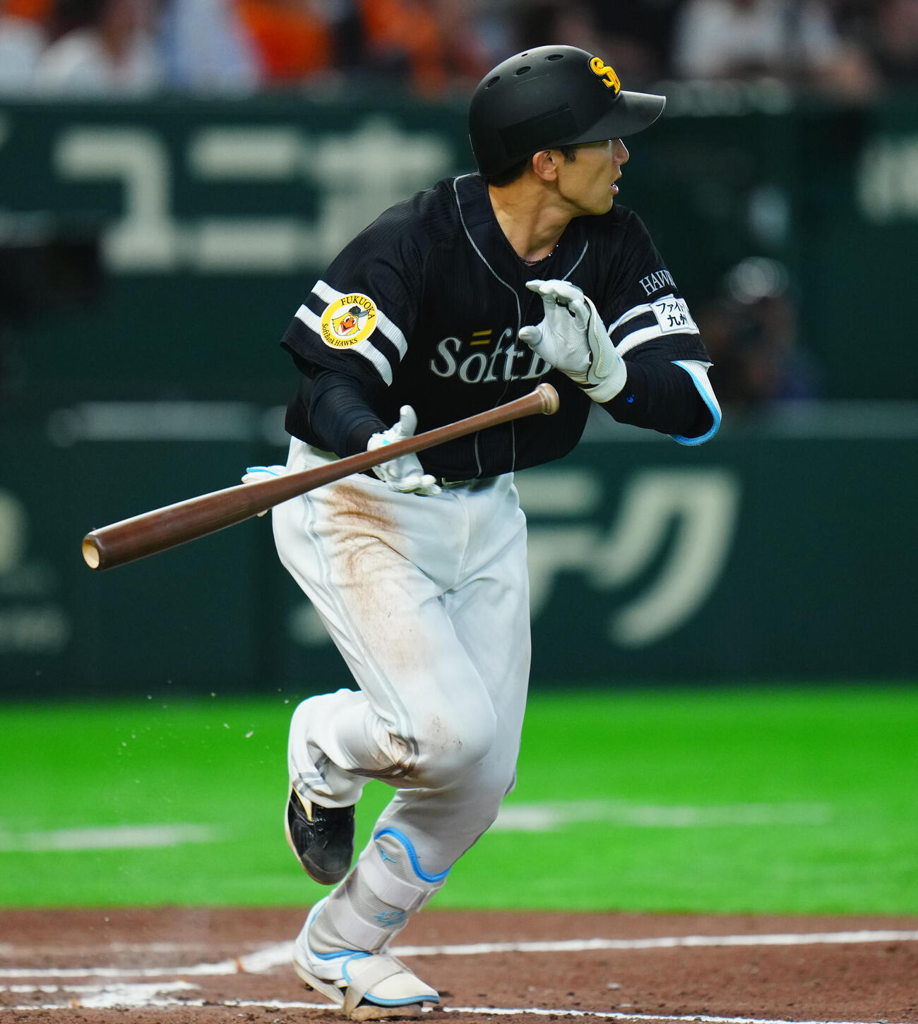交流戦　巨人対ソフトバンク　7回表ソフトバンク2死一塁、2点本塁打を放つ山本祐大（撮影・垰建太）