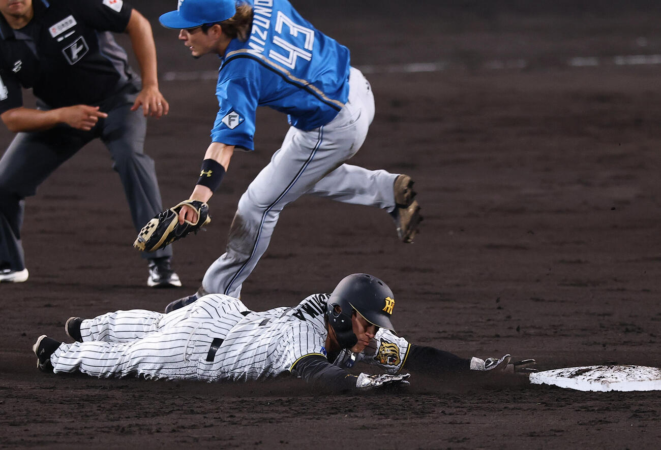 2026年5月28日、阪神対日本ハム　5回裏阪神2死一塁、福島圭音は二盗を決める（撮影・上田博志）