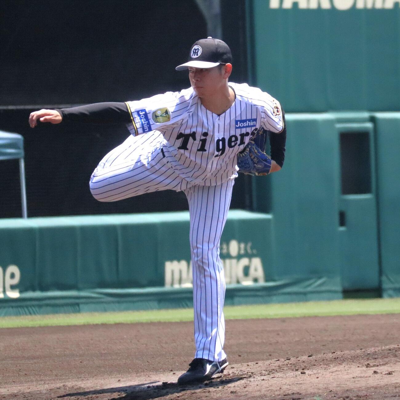シート打撃に登板した阪神下村海翔投手（撮影・村松万里子）