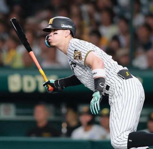 阪神】大山悠輔も突破！クリーンアップが10万票超えそろい踏み 今年も
