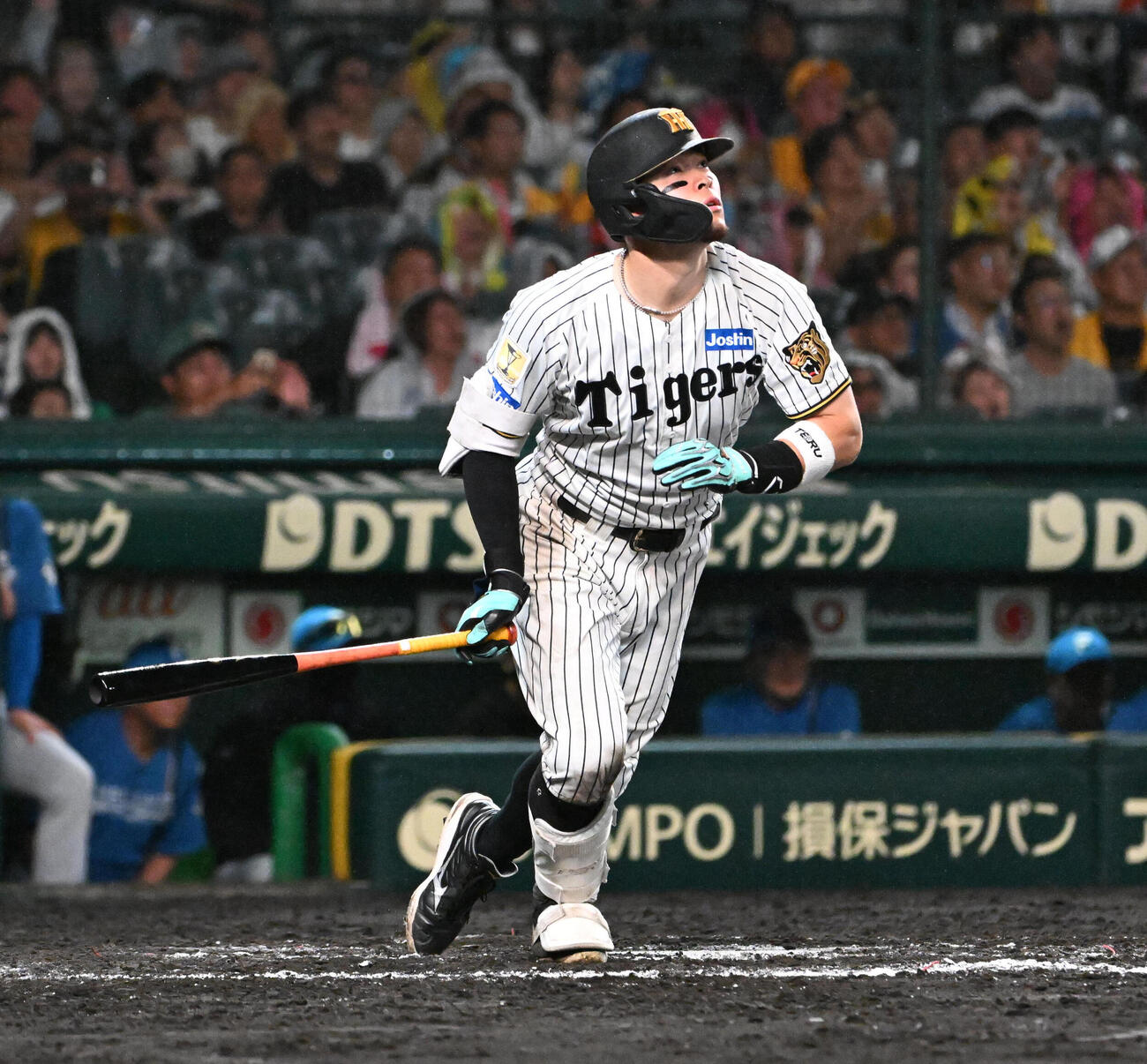 阪神佐藤輝明（2026年5月撮影）