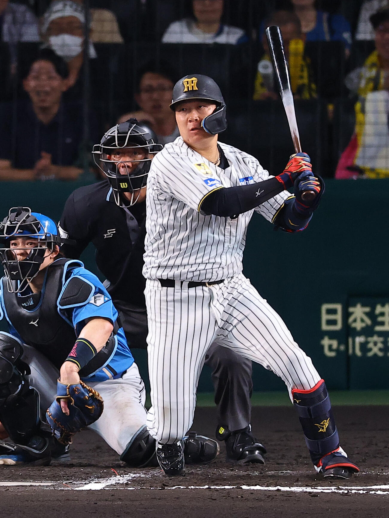 阪神大山悠輔（2026年5月撮影）
