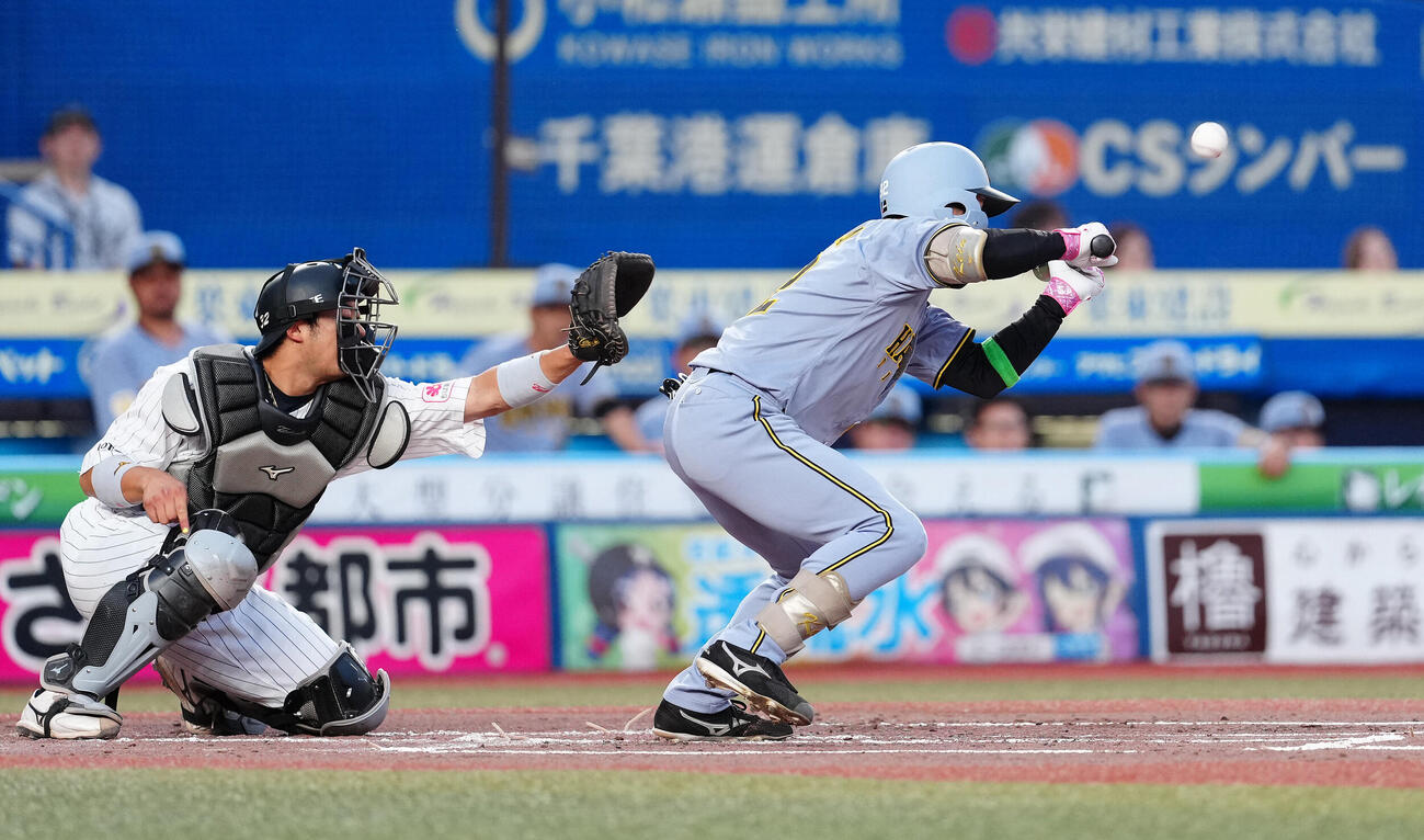 ロッテ対阪神　2回表阪神無死一塁、送りバントを試みるも三飛に倒れる福島圭音（撮影・鈴木みどり）