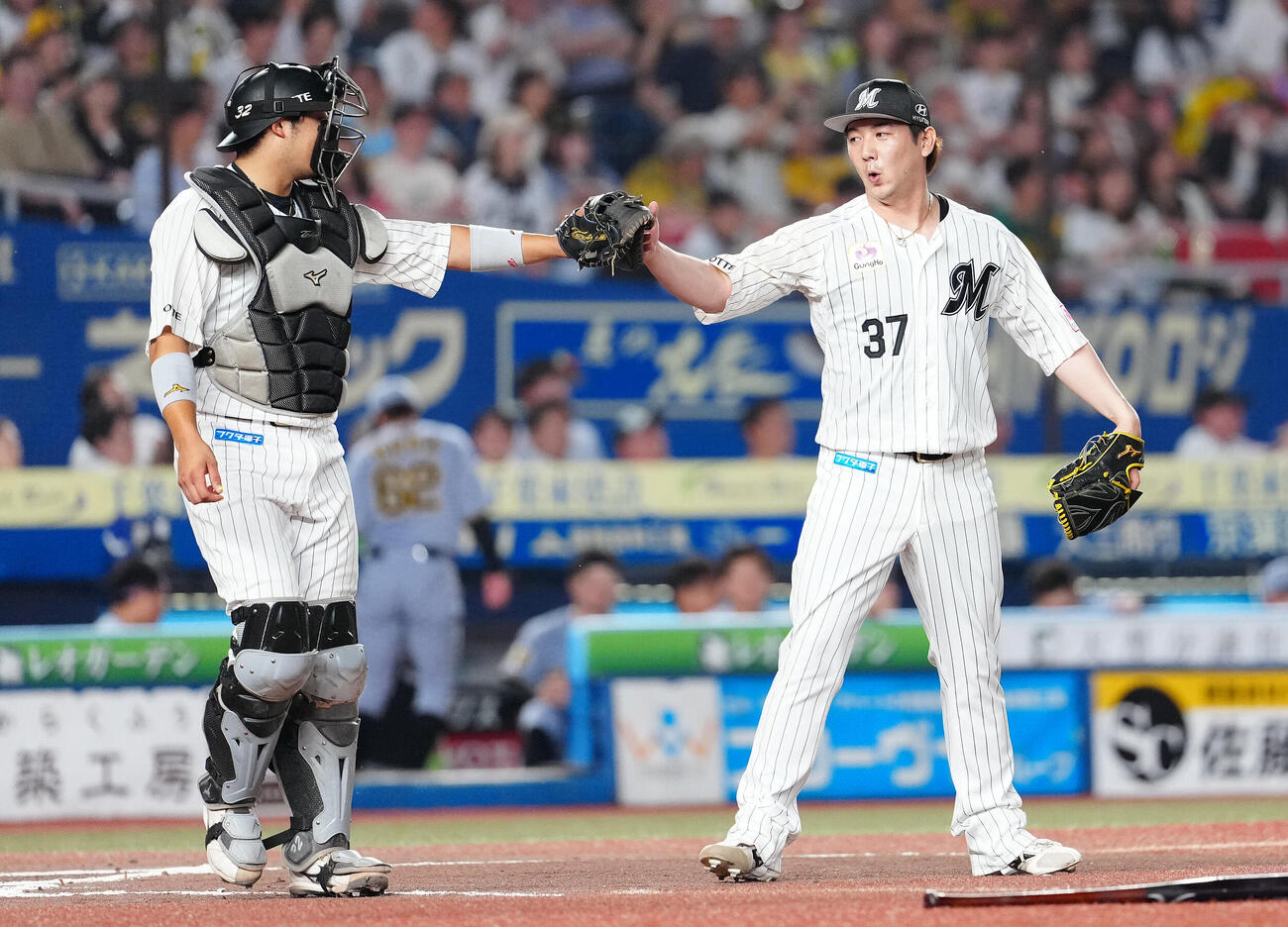 ロッテ対阪神　7回表を終え、佐藤都志也（左）とタッチを交わすたロッテ小野郁（撮影・鈴木みどり）