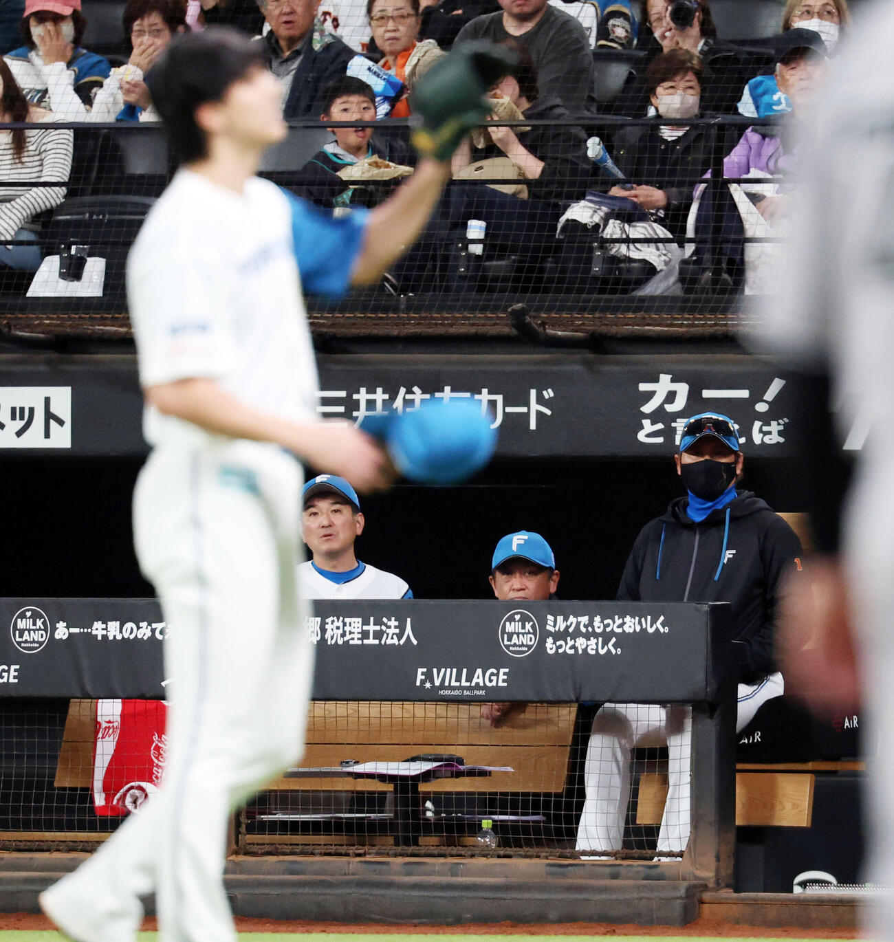 日本ハム対巨人　4回表巨人無死一塁、トレイ・キャベッジに死球を与えた達孝太（手前）を見つめる新庄剛志監督（撮影・浅見桂子）