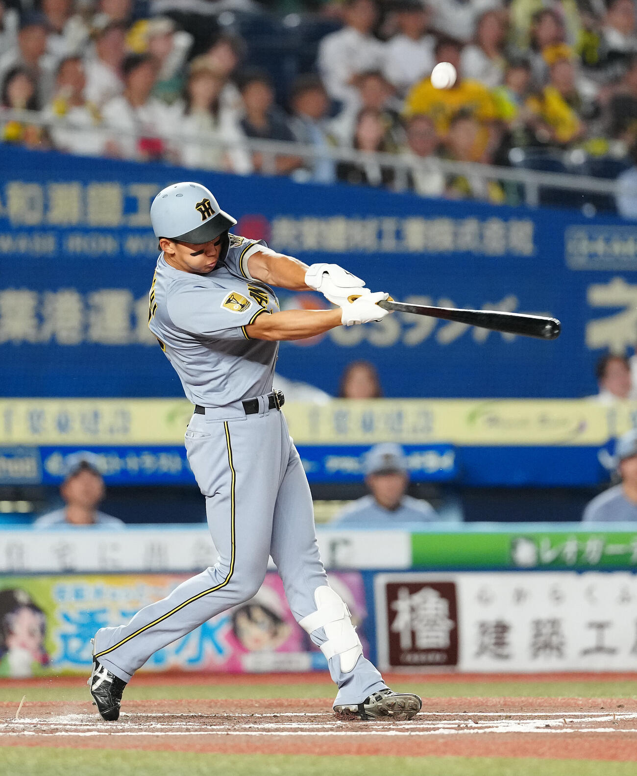 ロッテ対阪神　7回表阪神無死、遊飛に倒れる立石正広（撮影・鈴木みどり）