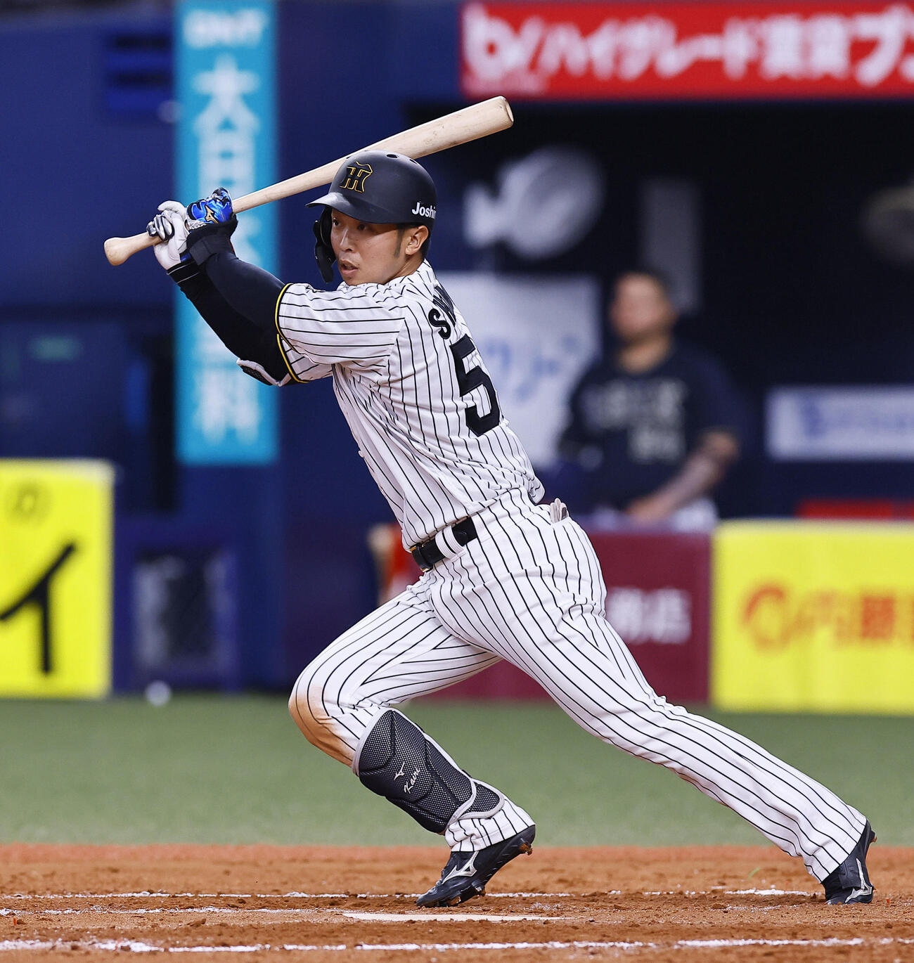 阪神島田海吏（2025年3月22日撮影）