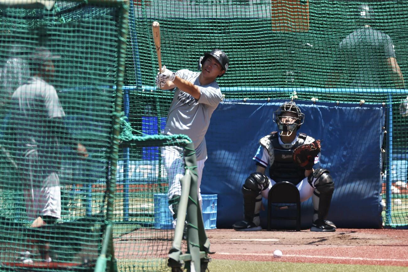 交流戦　ロッテ対阪神　試合前、打撃練習するロッテ安田尚憲（撮影・河田真司）