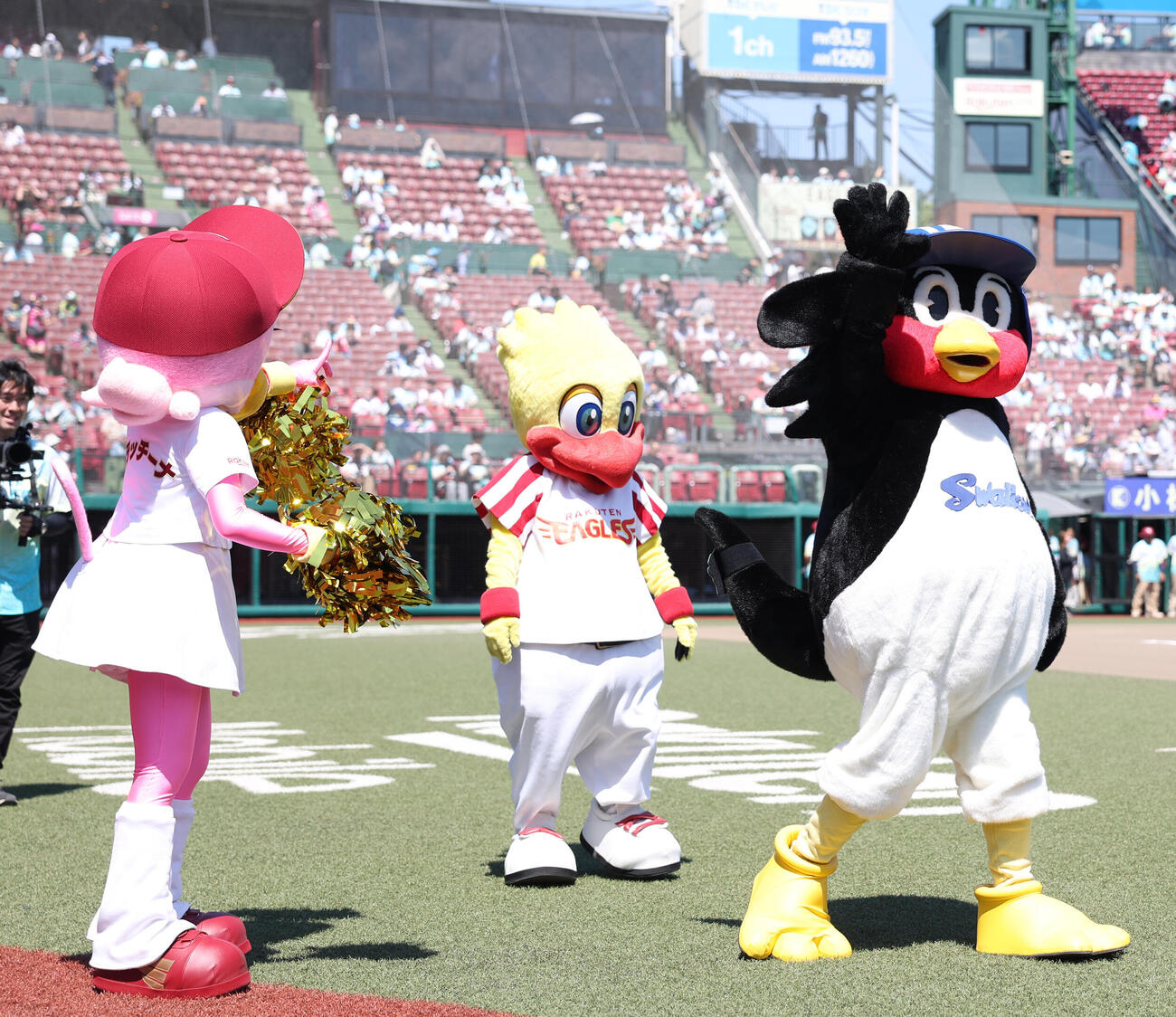 交流戦　楽天対ヤクルト　試合前、クラッチーナ（左）とスイッチ（中央）の歓迎を受けるつば九郎（撮影・水谷安孝）