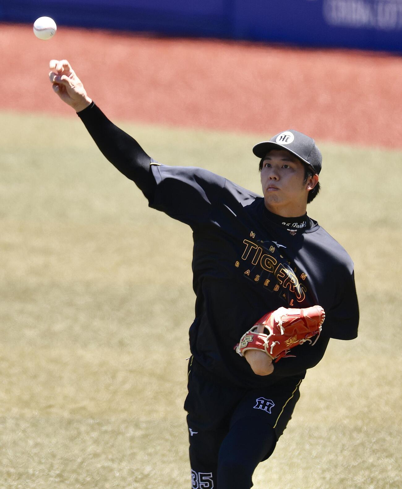 交流戦　ロッテ対阪神　試合前、キャッチボールする阪神才木浩人（撮影・河田真司）＝2026年5月30日