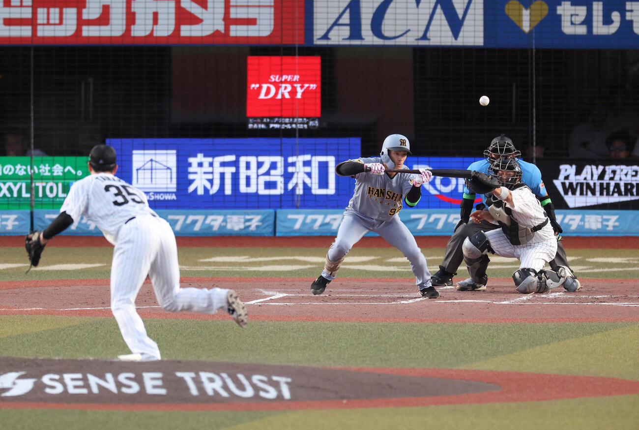 送りバントを試みるも失敗する福島圭音（2026年5月29日撮影）