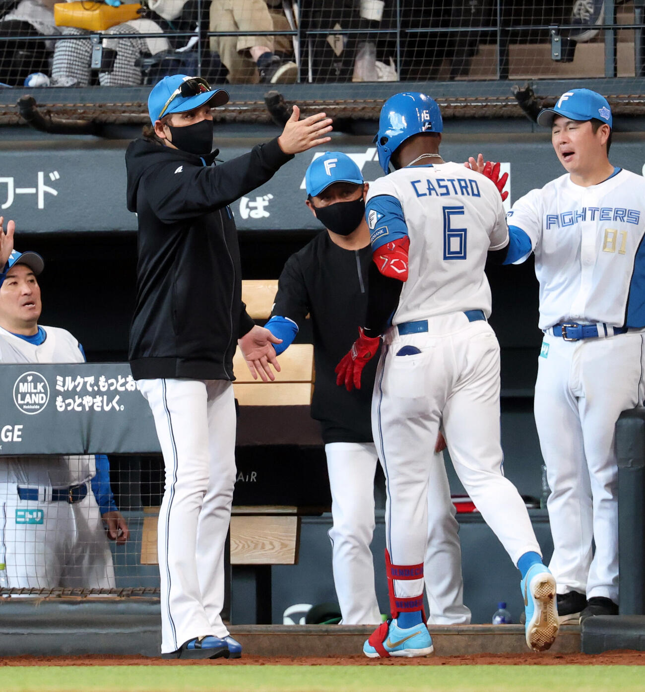 日本ハム対巨人　7回裏日本ハム無死、カストロ（右）がソロ本塁打を放ち迎える新庄剛志監督（撮影・浅見桂子）＝2026年5月29日